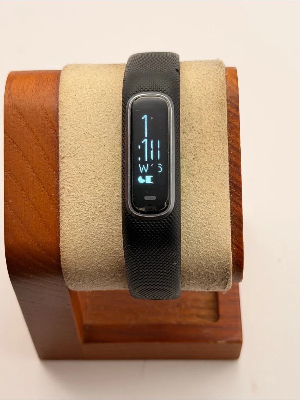 garmin blemishes band whole