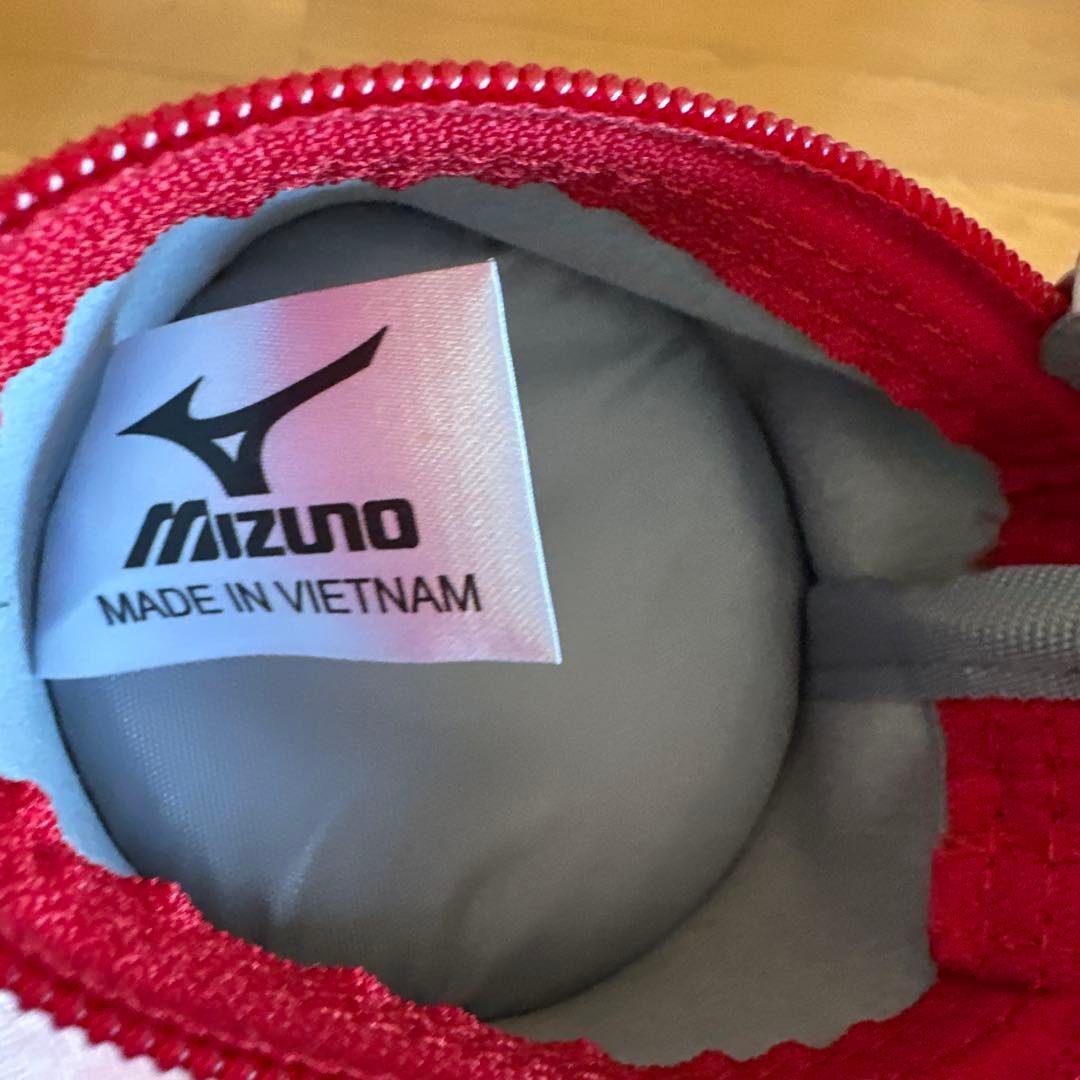 mizuno bat